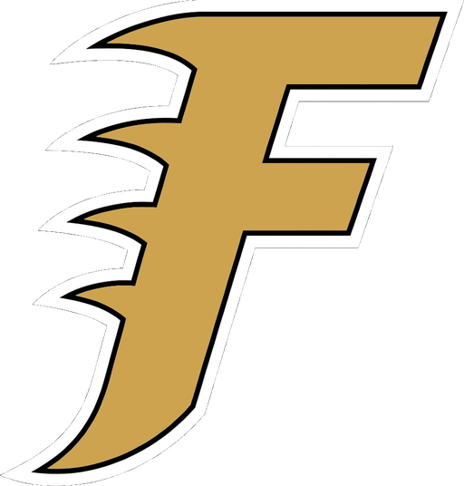 Fam Fighter